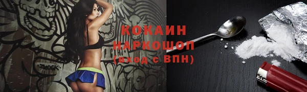 мескалин Богданович