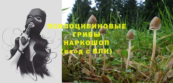 мескалин Богданович