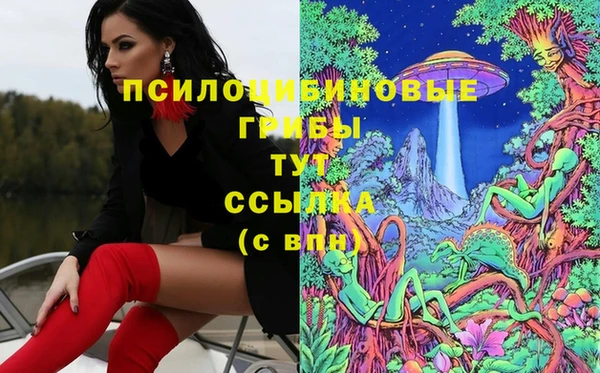 мескалин Богданович