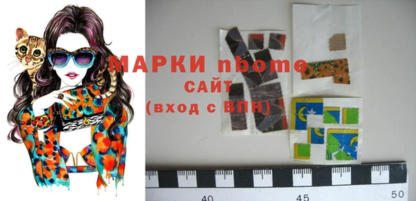 СК Бронницы