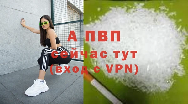мескалин Богданович