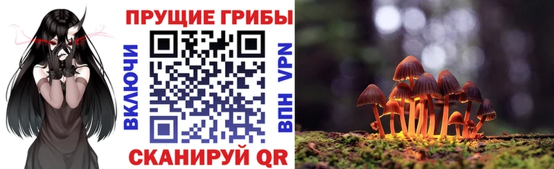 наркошоп  Каспийск  Псилоцибиновые грибы мицелий 