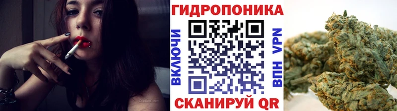 мега   Каспийск  Каннабис ГИДРОПОН 